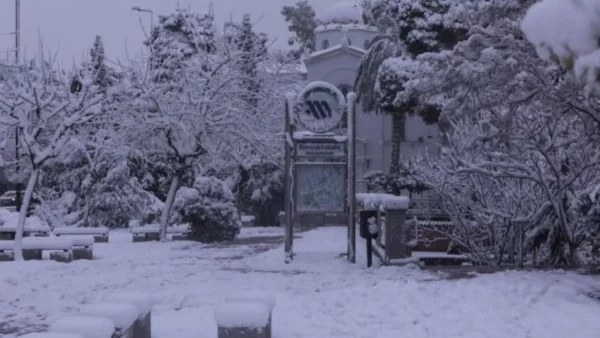 Πώς θα κινηθούν σήμερα 25/1 τα ΜΜΜ - Τι θα γίνει με Μετρό, Τραμ, λεωφορεία, τρόλεϊ, προαστιακό