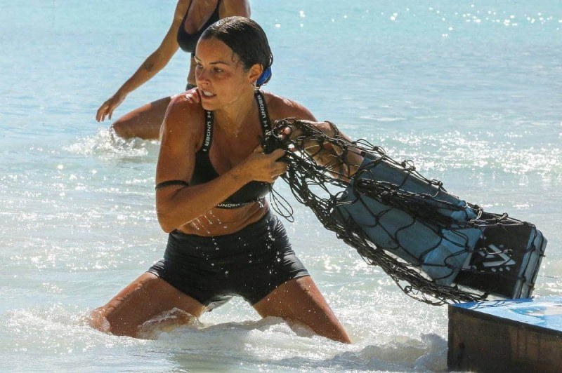 Survivor Μαχητές