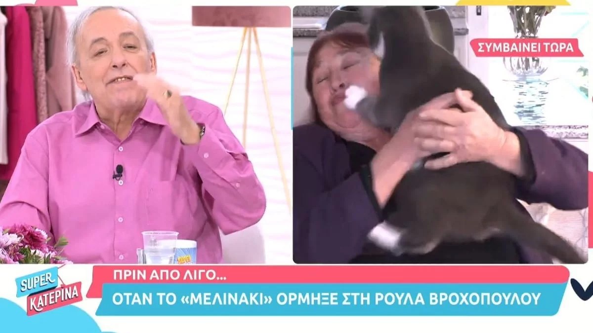 Ρούλα Βροχοπούλου: Επικό περιστατικό στον αέρα του Alpha - Της επιτέθηκε η γάτα της