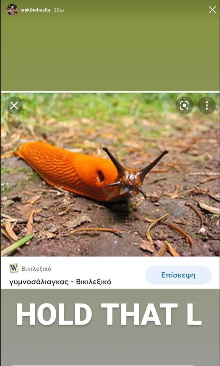 Η ανάρτηση του Σνικ