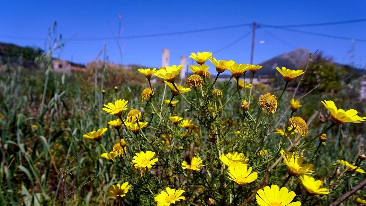 Καιρός 28/4: Σε υψηλά επίπεδα για την εποχή η θερμοκρασία σήμερα - Η πρόγνωση της ΕΜΥ