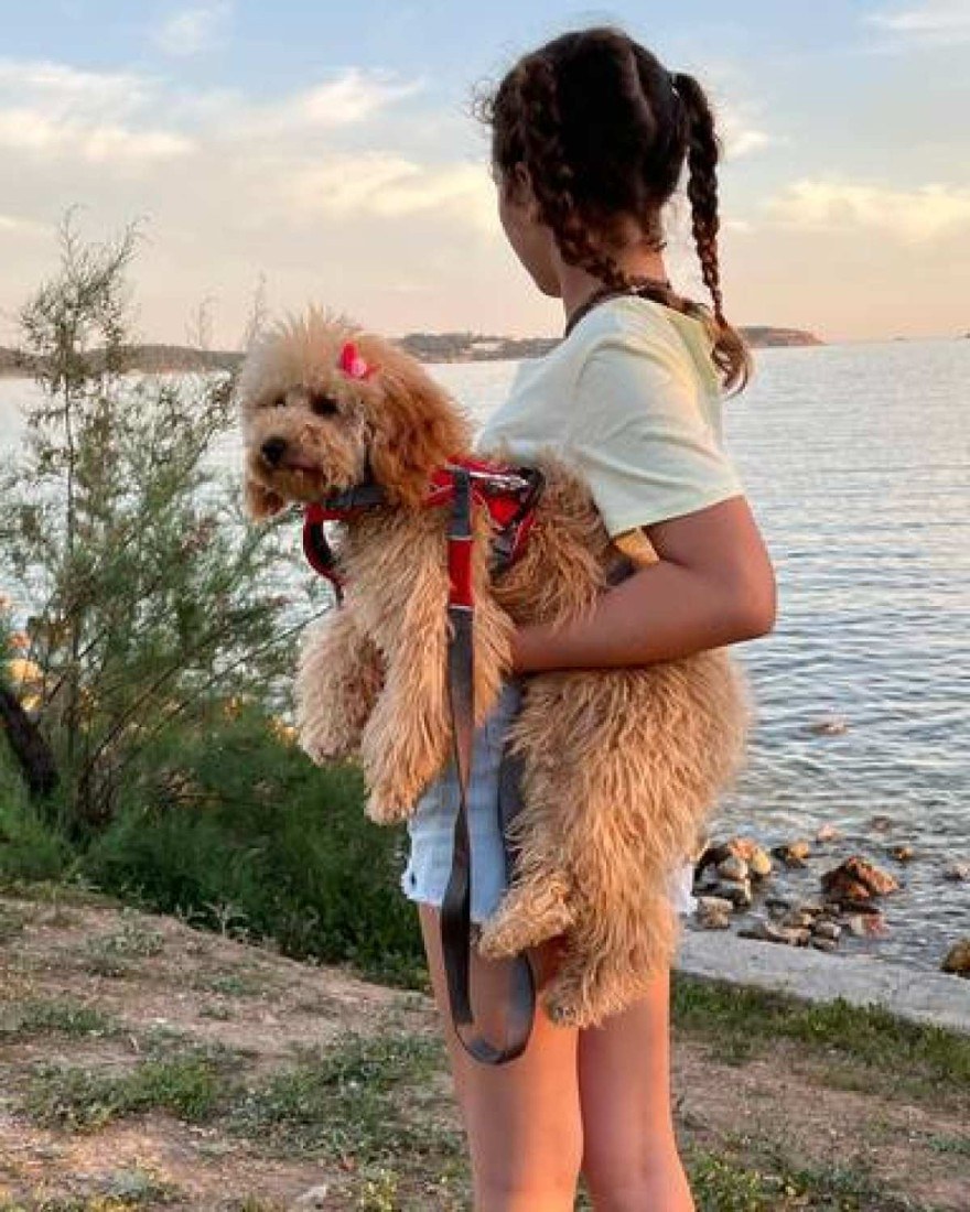 Ανάρτηση Γιώργου Λύρα