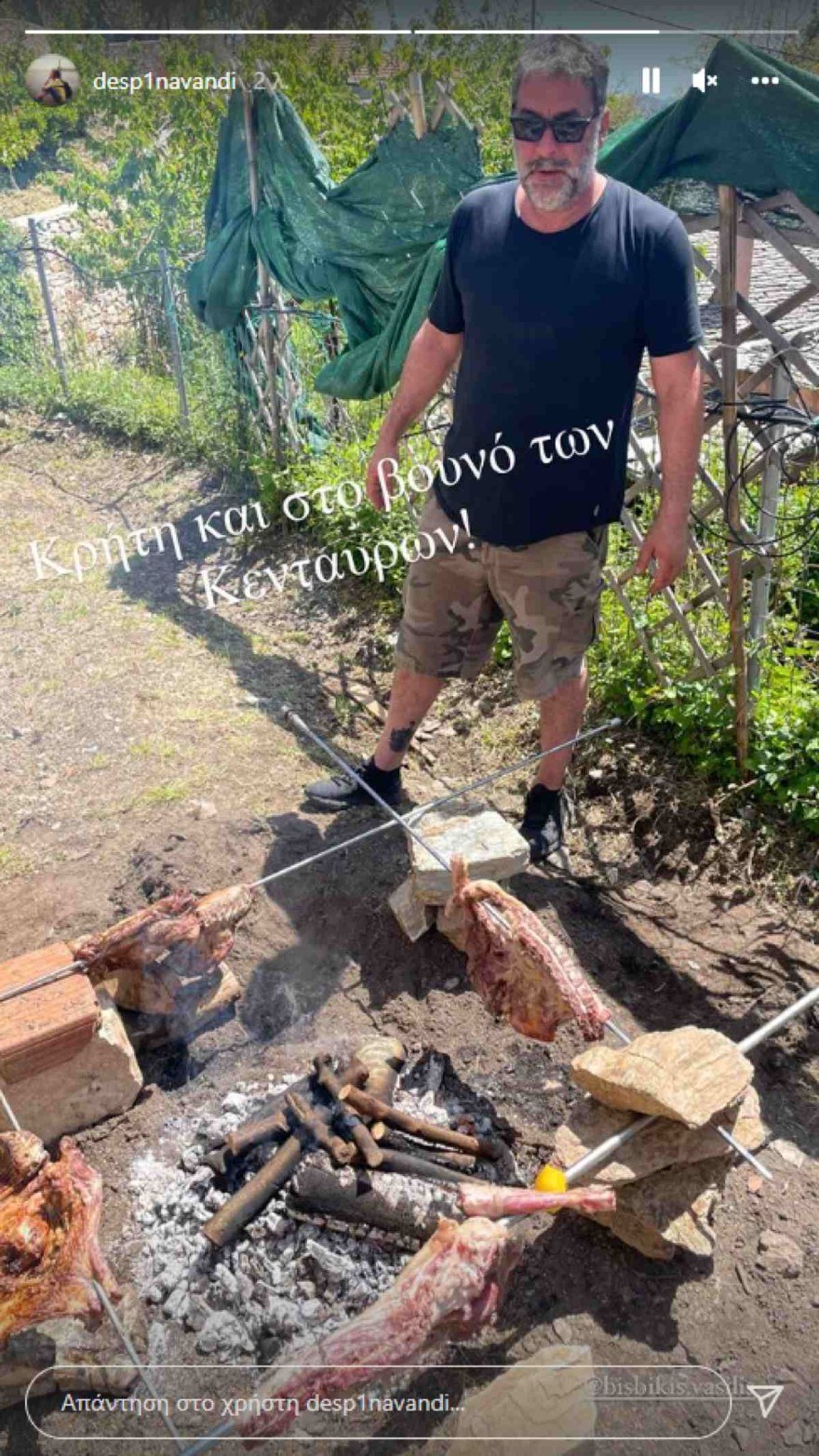Βασίλης Μπισμπίκης Δέσποινα Βανδή διακοπές