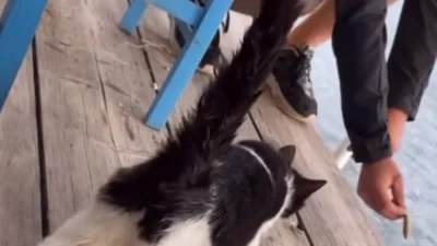 Αιδηψός: Ο 30χρονος είχε συλληφθεί με 67 κιλά κάνναβης