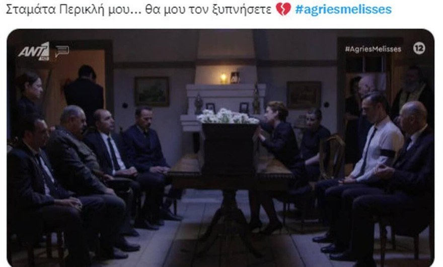 Θλίψη στις Άγριες Μέλισσες
