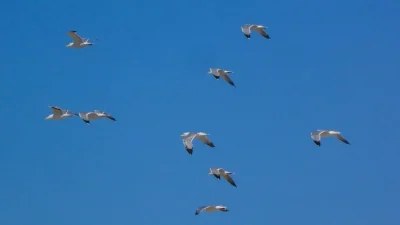 Καιρός (27/6): Σε υψηλά επίπεδα και σήμερα ο υδράργυρος - Μέχρι πού θα φτάσει η θερμοκρασία