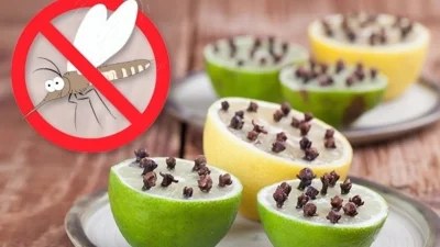 Δεν θα σας πλησιάζουν καν: Απαλλαχτείτε οριστικά από τα έντομα του καλοκαιριού χρησιμοποιώντας λεμόνι