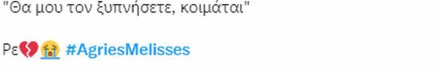 Άγριες Μέλισσες - Θάνατος
