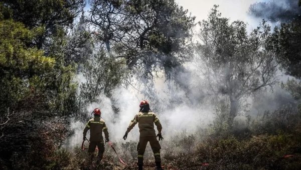Φωτιά στην Πεντέλη: «Μας έσωσε μια...» - Συγκλονιστικές μαρτυρίες ανθρώπων