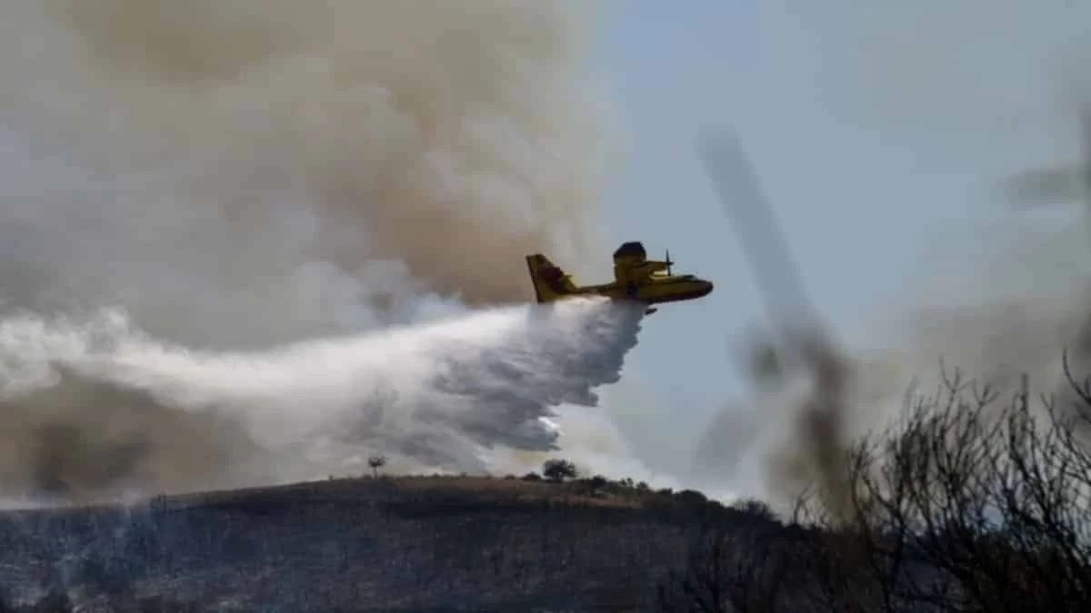 Φωτιά στην Ηλεία: Συνελήφθη κάτοικος της περιοχής για εμπρησμό
