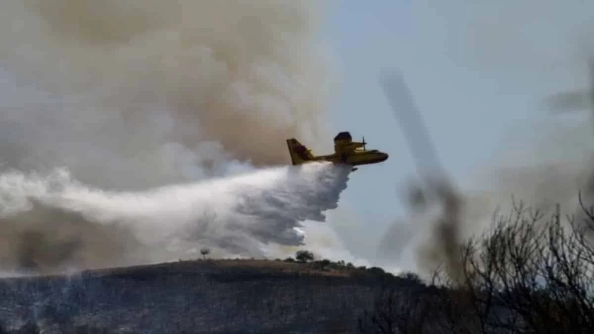 Πυρκαγιές σε Ανδρίτσαινα και Κορωπί