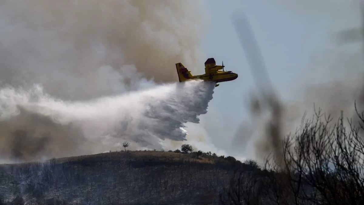 Φωτιά στην Παλλήνη: Καρέ - Καρέ το βίντεο ντοκουμέντο από τον εμπρησμό - Ύποπτος ένας μαυροφορεμένος άνδρας
