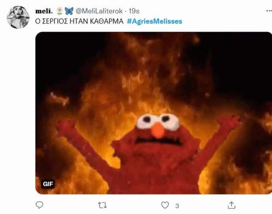 Άγριες Μέλισσες - twitter