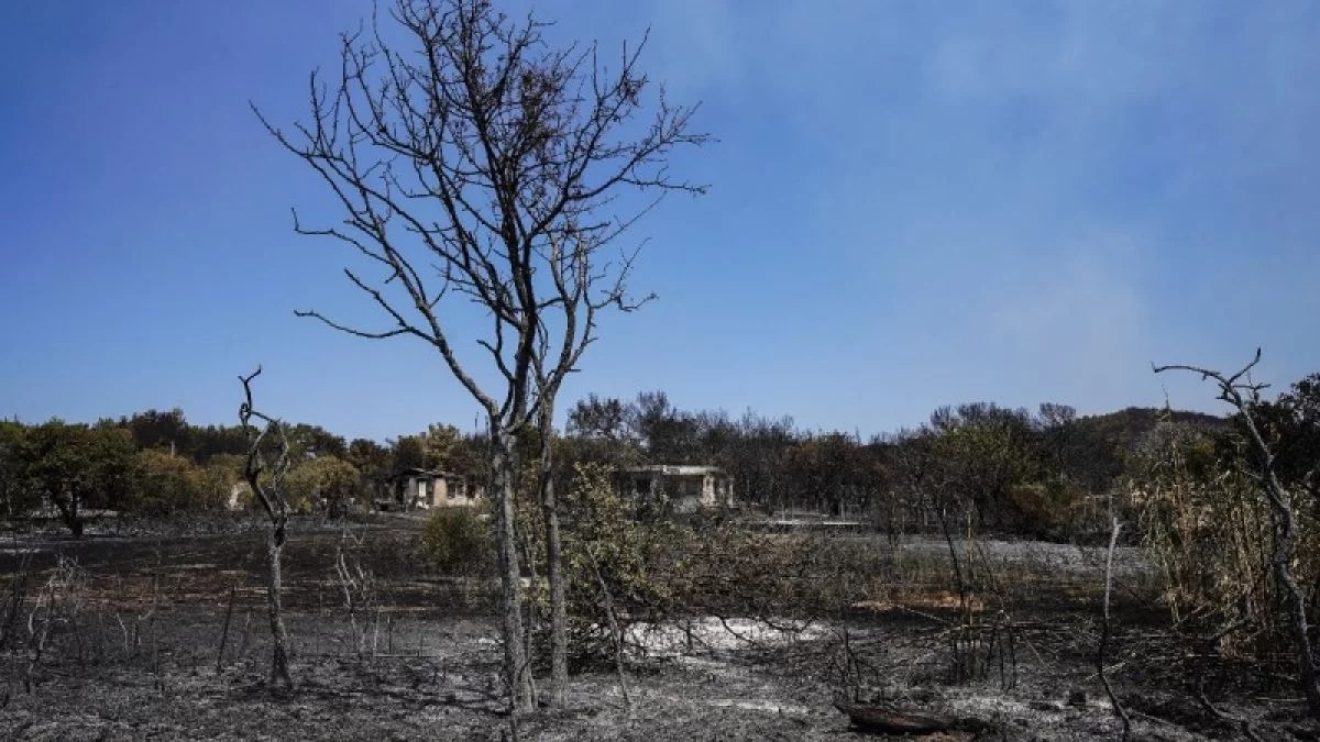Φωτιά στη Λέσβο: Δύο ιερείς πάλεψαν με τις φλόγες - Αποθεώθηκαν από το πλήθος