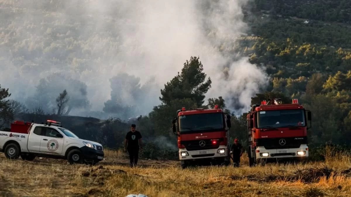 Φωτιά στο Σουφλί Έβρου