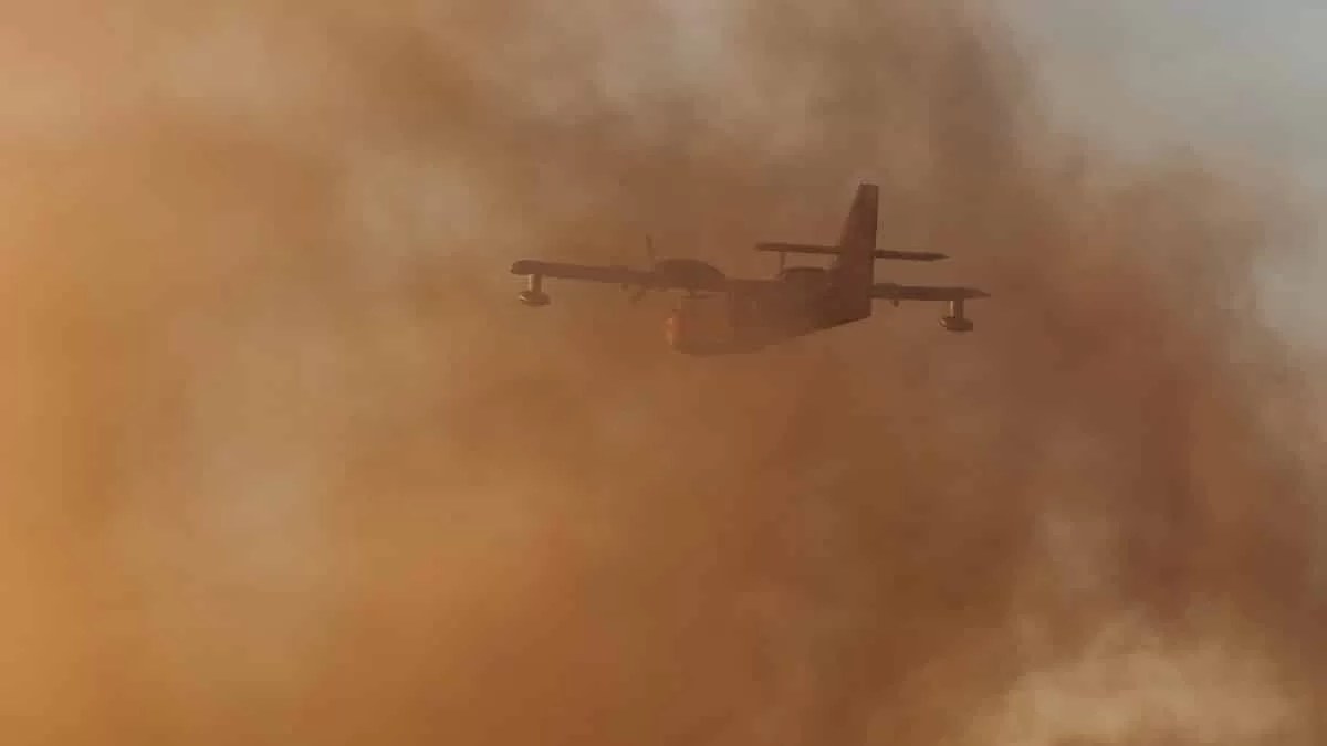 Φωτιά στα Μέγαρα: Πυροσβέστες του έσωσαν το σπίτι και συγκίνησαν με το σημείωμα "συγγνώμης"