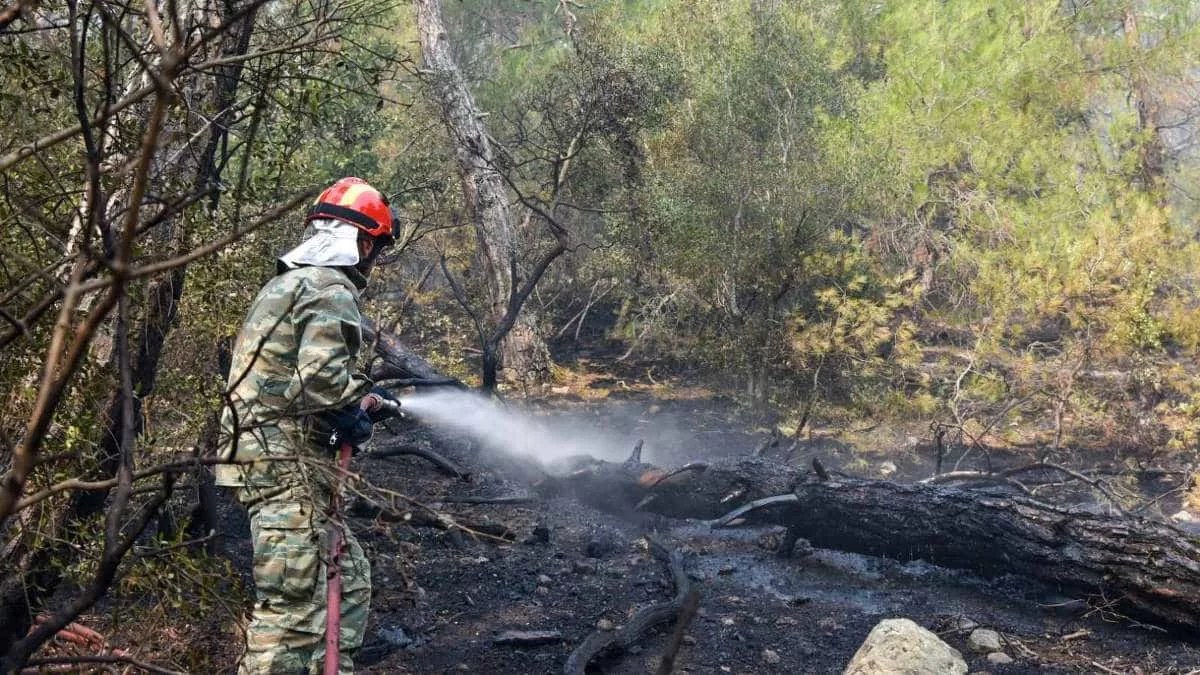 Φωτιά στον Έβρο: Μαίνεται η φωτιά στη Δαδιά για 7η μέρα