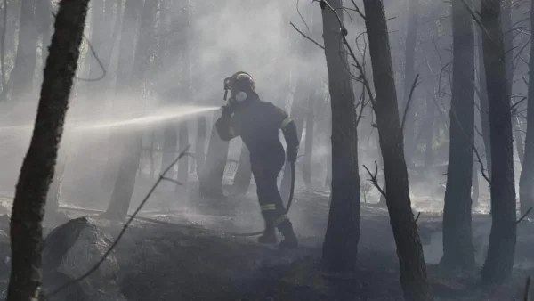 Φωτιά στην Παλλήνη τα ξημερώματα - Η ανακοίνωση της Πυροσβεστικής