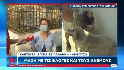 Φωτιά Πεντέλη: «Δεν ήθελε να φύγει από το σπίτι της» - Σοκαριστικό περιστατικό με εγκυμονούσα στον 8ο μήνα