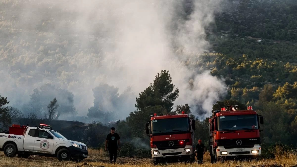 Φωτιά τωρα στα Άγναντα Ηλείας