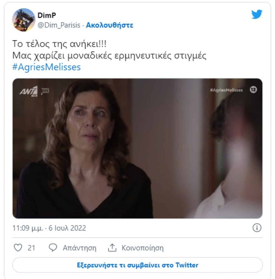 Άγριες Μέλισσες Twitter
