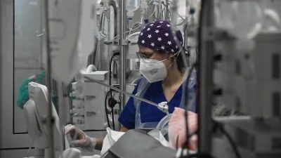 Εύβοια: 6χρονος νοσηλεύεται στη ΜΕΘ - Δαγκώθηκε από ροτβάιλερ