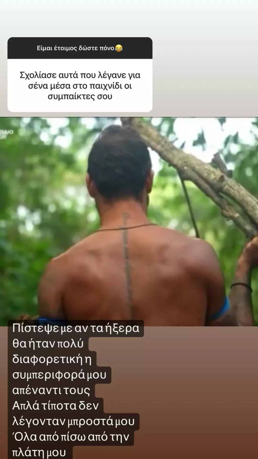 Σοϊλέδης - Survivor