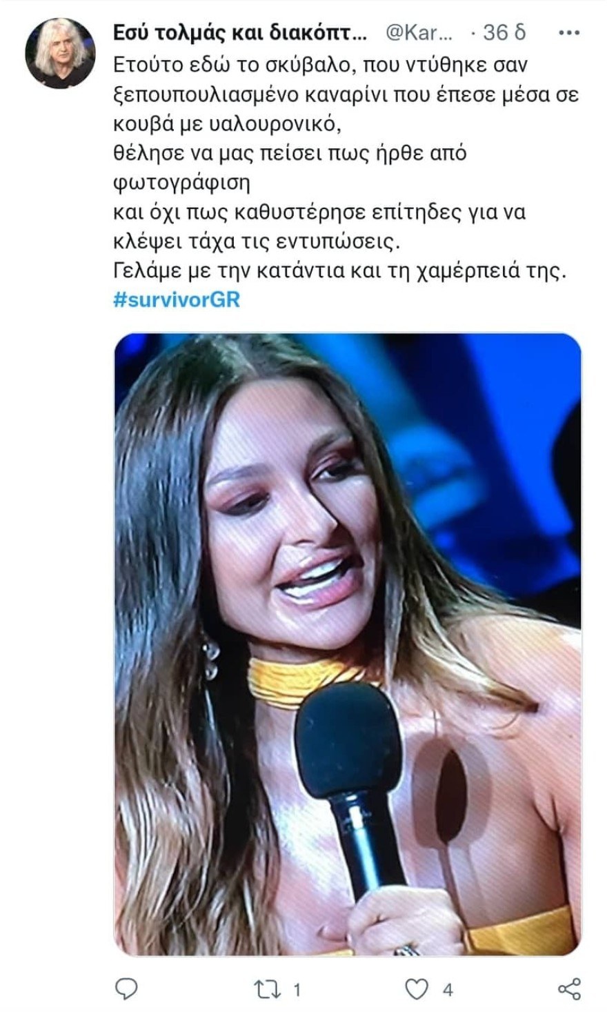 Ναυσικά Παναγιωτακοπούλου - Survivor 5