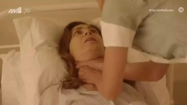 Σοκ στον ΑΝΤ1 με τα νούμερα τηλεθέασης που έκαναν οι Άγριες Μέλισσες στο φινάλε της σεζόν