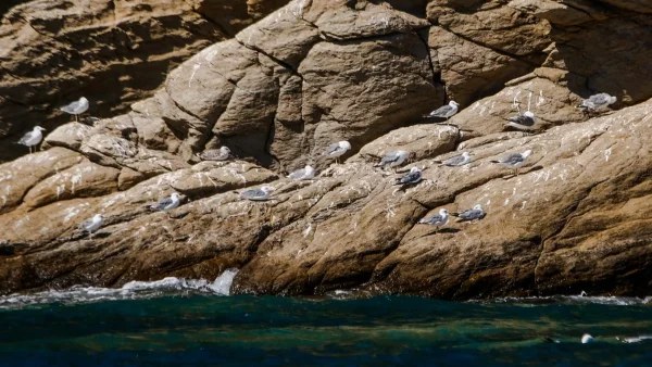 Βόλος: 9χρονο παιδί έπεσε από βράχια