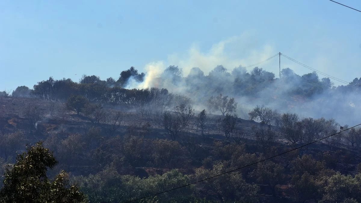 Φωτιά σε χωριό της Αρκαδίας