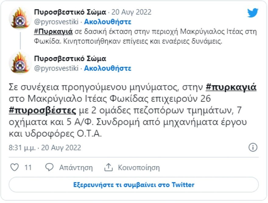 Φωτιά Ιτέα