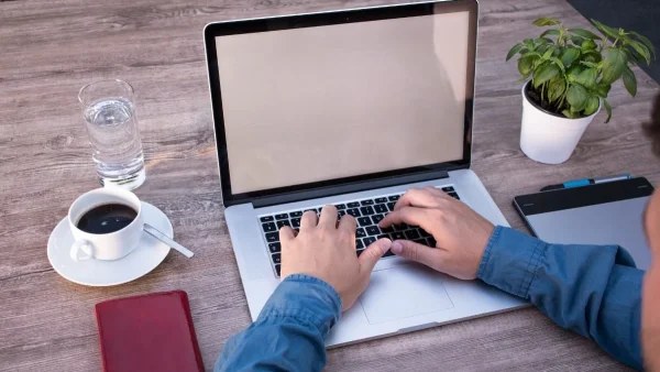 Το απαγορεύουν και οι ειδικοί - Το φυτό που πρέπει να πετάξεις άμεσα από το γραφείο ή την επιχείρηση
