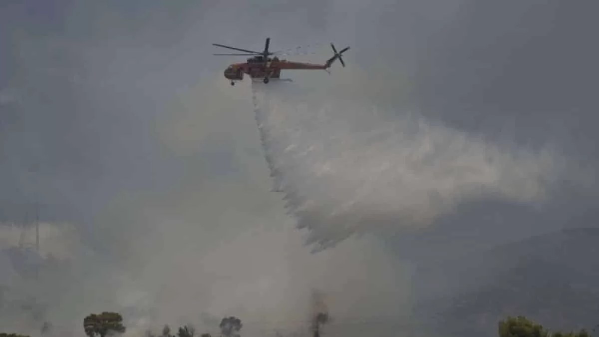 Φωτιά κοντά στο Γενικό Νοσοκομείο της Χαλκίδας