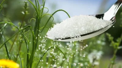 Πασπάλισε στα φυτά σου μια χούφτα ζάχαρη - Θα δεις μέσα σε λίγες μέρες να...