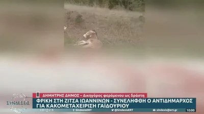 Κακοποίηση γαϊδάρου στη Ζίτσα: "Τα γυρίζει" ο αντιδήμαρχος στις νέες του δηλώσεις - Τι υποστήριξε