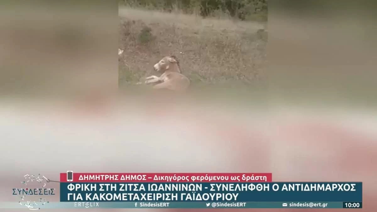 Κακοποίηση γαϊδάρου στη Ζίτσα: "Τα γυρίζει" ο αντιδήμαρχος στις νέες του δηλώσεις - Τι υποστήριξε