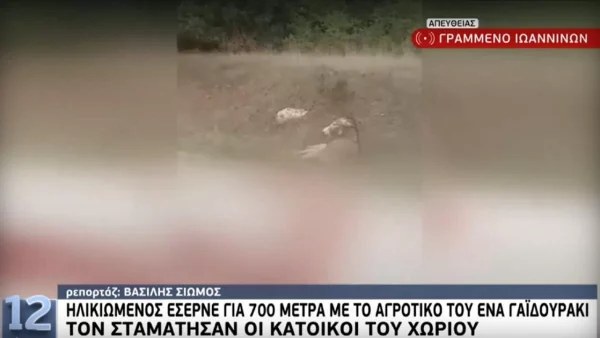 Αδιανόητο περιστατικό στα Ιωάννινα - Ο αντιδήμαρχος Ζίτσας έσερνε ένα γαϊδουράκι με το αυτοκίνητό του