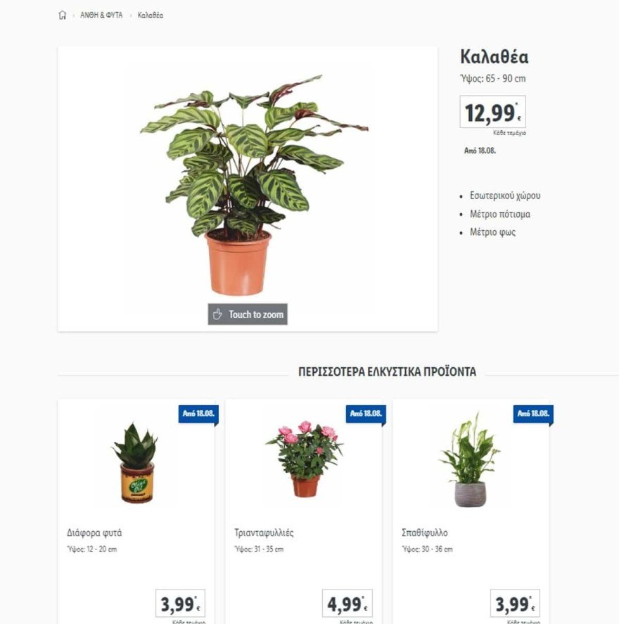 Lidl Καλαθέα