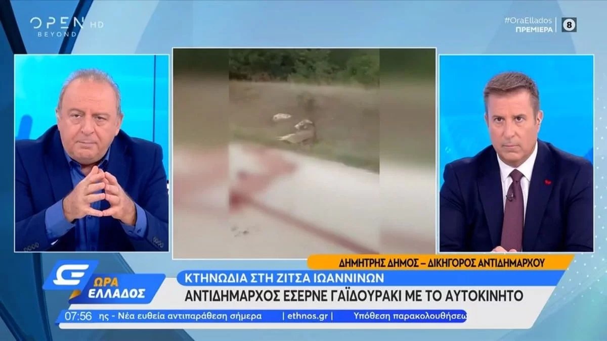 Κακοποίηση ζώου στα Γιάννενα - Αφέθηκε ελεύθερος ο αντιδήμαρχος μετά την κτηνωδία