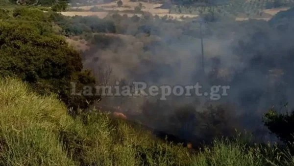 Φωτιά στο Λογγίτσι Φθιώτιδας