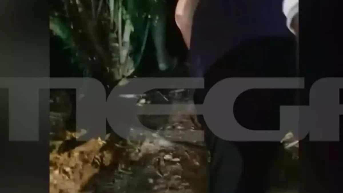 "Τα παιδιά, τα παιδιά!" - Σοκαριστικό βίντεο μετά το ατύχημα στο Allou Fun ParkAllou Fun Park