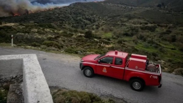 Φωτιά τώρα σε δάσος της Κεφαλονιάς