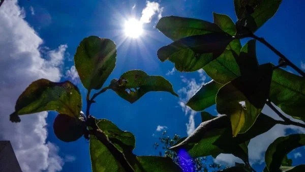 Καιρός 29/9: Συννεφιά με ζέστη σήμερα - Μέχρι πόσο θα φτάσει η θερμοκρασία