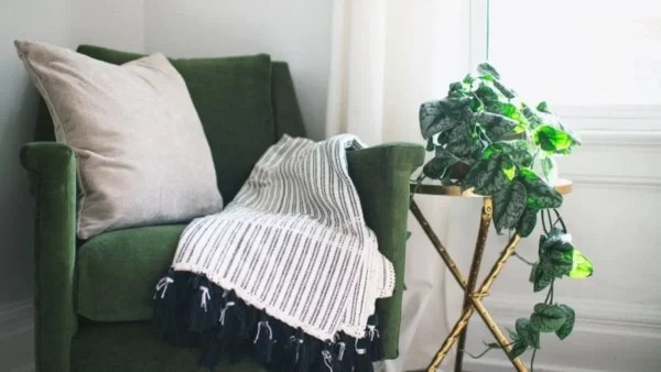 Το Feng Shui απαγορεύει να έχεις σπίτι σου αυτά τα 6 φυτά - Προκαλούν σοβαρά προβλήματα