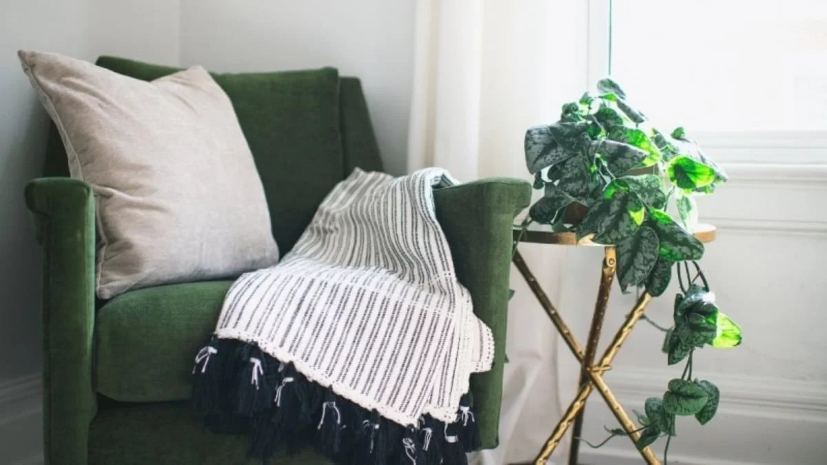 Το Feng Shui απαγορεύει να έχεις σπίτι σου αυτά τα 6 φυτά - Προκαλούν σοβαρά προβλήματα