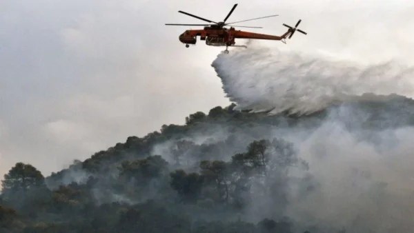 Φωτιά στην Αφροξυλιά Ναυπακτίας