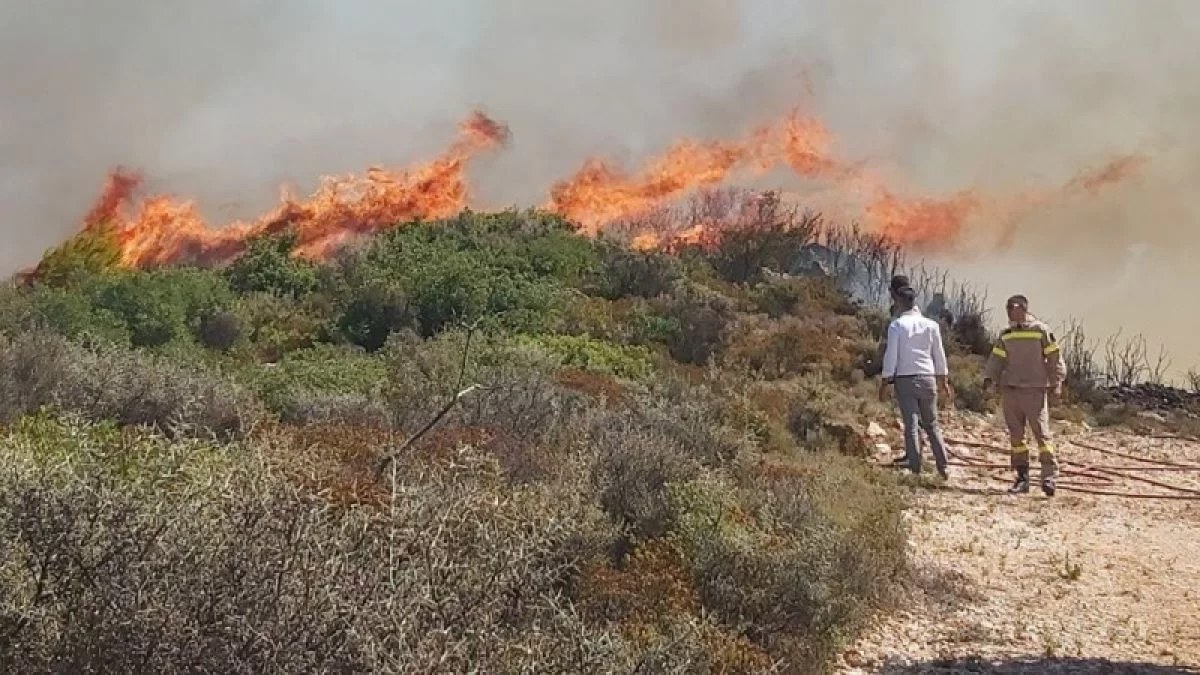 Φωτιά στη Ναύπακτο