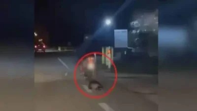 Καβάλα: Νέο περιστατικό κακοποίησης ζώου - Άνδρας έσερνε με το μηχανάκι του έναν ασβό
