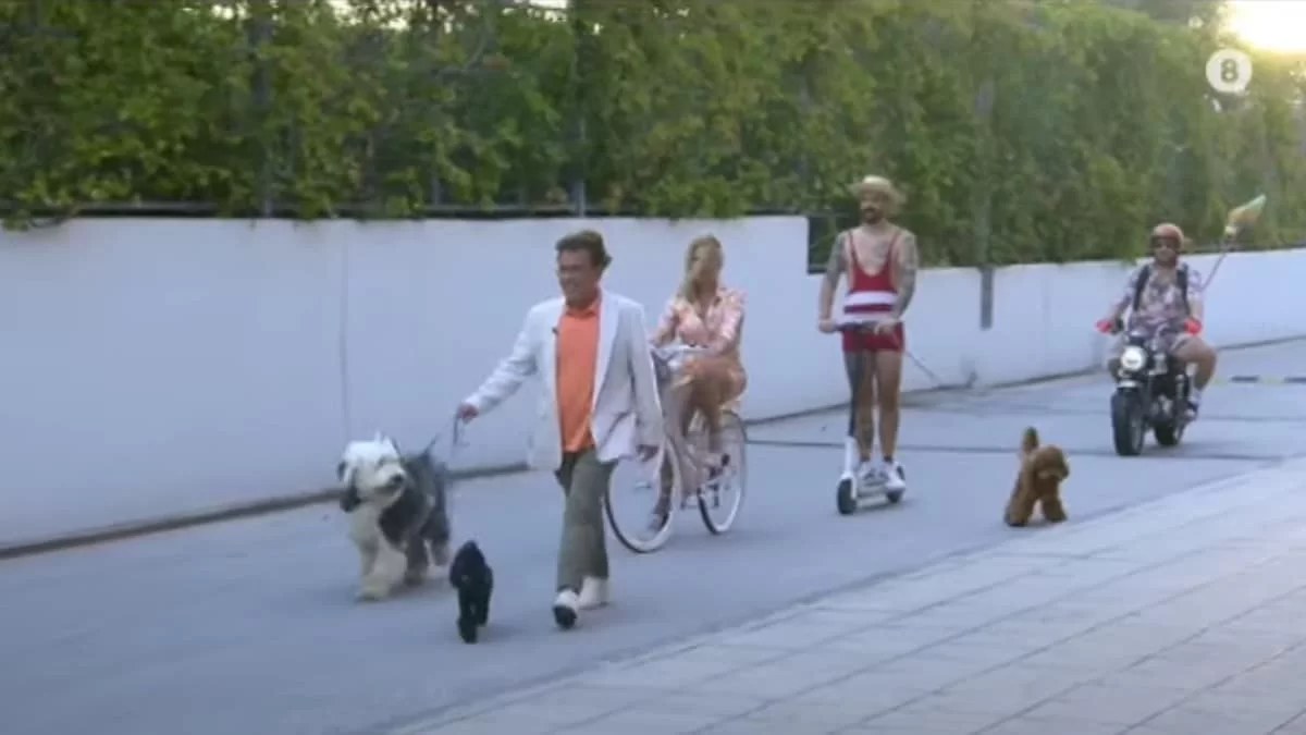 Πρεμιέρα Happy Day 5/9: Αδυνατισμένη, ντυμένη στα λευκά & με νέο μαλλί η Σταματίνα Τσιμτσιλή